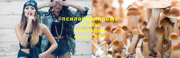 винт Касимов