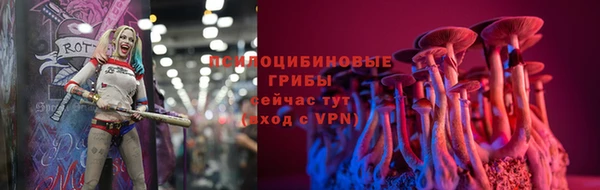 винт Касимов
