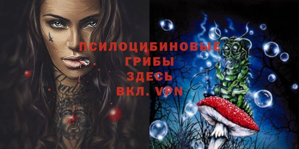 apvp Карпинск