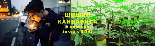 apvp Карпинск