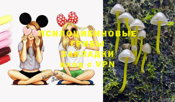 apvp Карпинск
